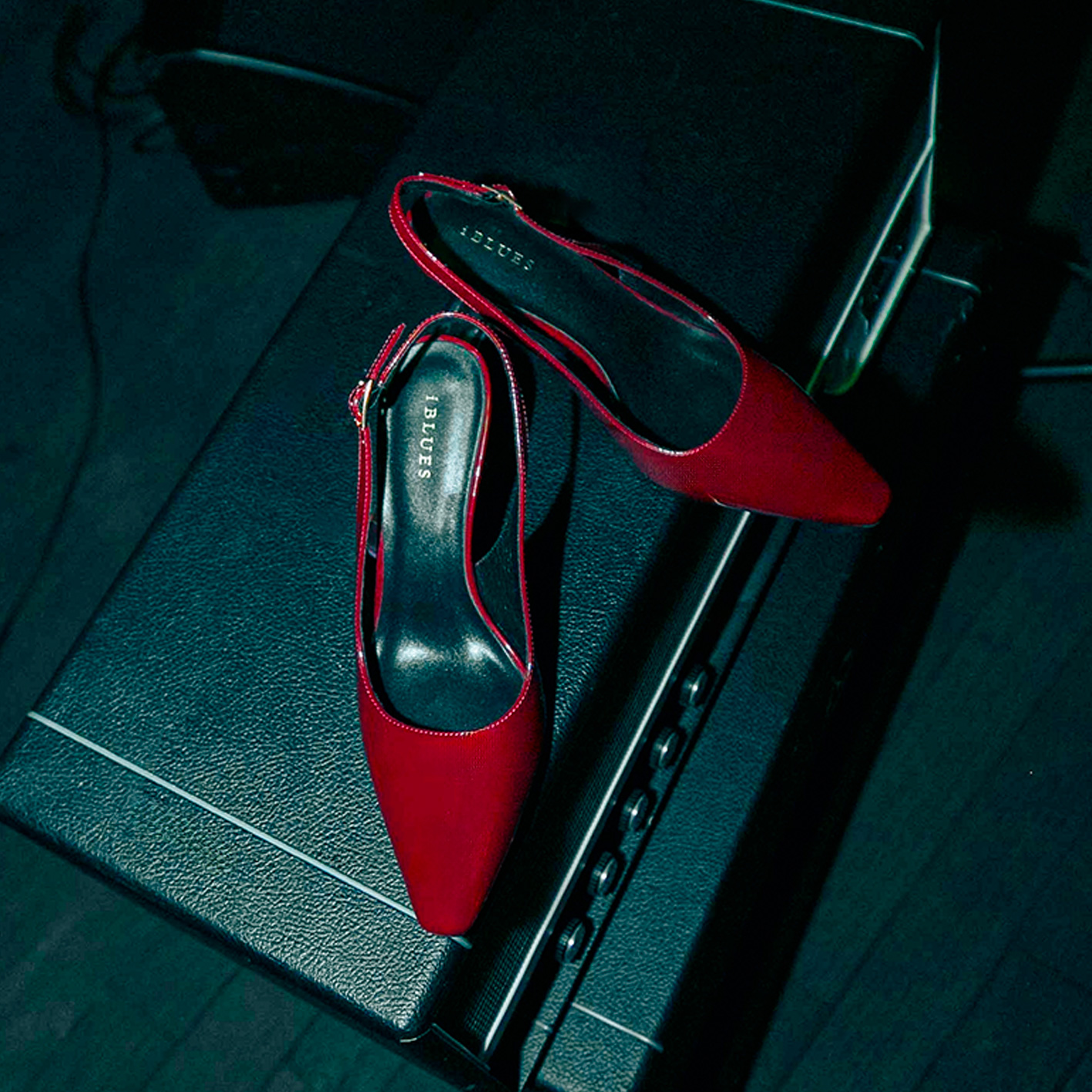 SHOE MANIA